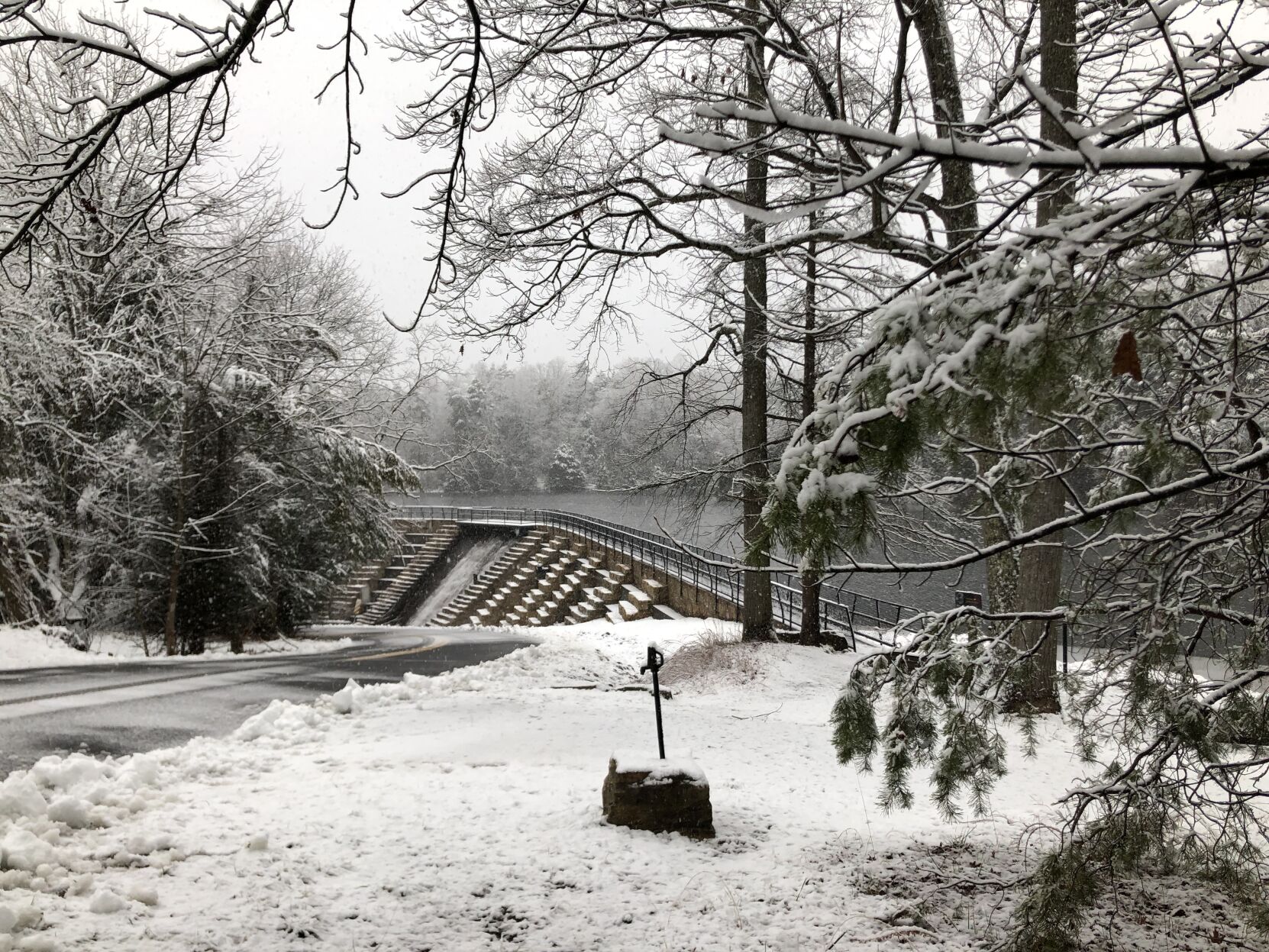 Snow day 18.jpg